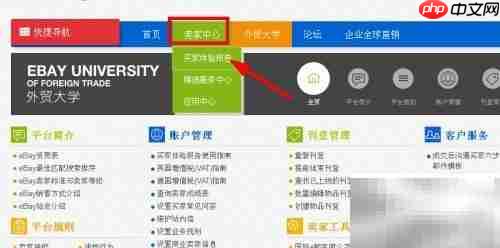 体验报告打开方法详解