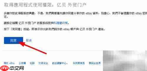 体验报告打开方法详解