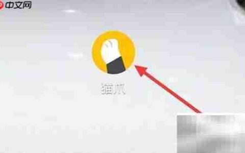 猫爪听歌？揭秘猫咪的音乐世界