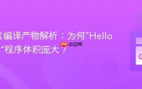 Go语言编译产物解析：为何“Hello World”程序体积庞大？