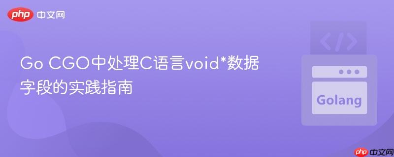 Go CGO中处理C语言void*数据字段的实践指南