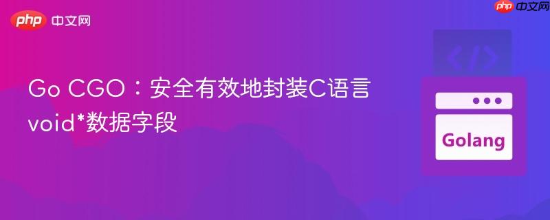 Go CGO:安全有效地封装C语言void*数据字段