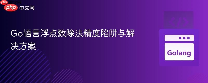 Go语言浮点数除法精度陷阱与解决方案