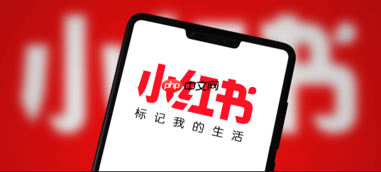 小红书商户版怎么回复评论_小红书商户版评论回复与互动技巧