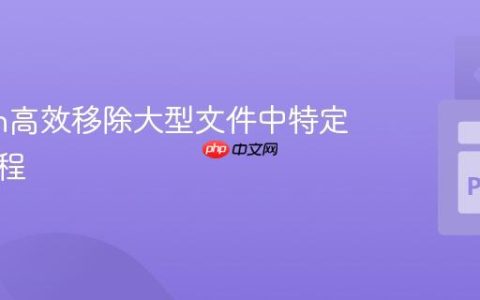 Python高效移除大型文件中特定行的教程
