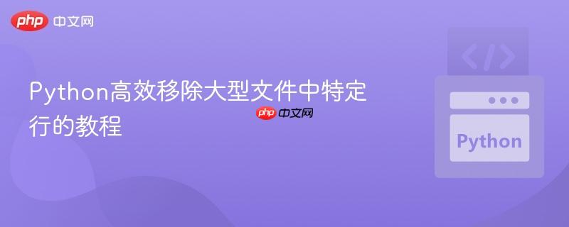 Python高效移除大型文件中特定行的教程