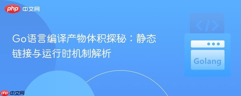 Go语言编译产物体积探秘：静态链接与运行时机制解析