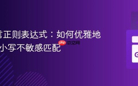 Go语言正则表达式：如何优雅地实现大小写不敏感匹配