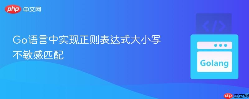 Go语言中实现正则表达式大小写不敏感匹配