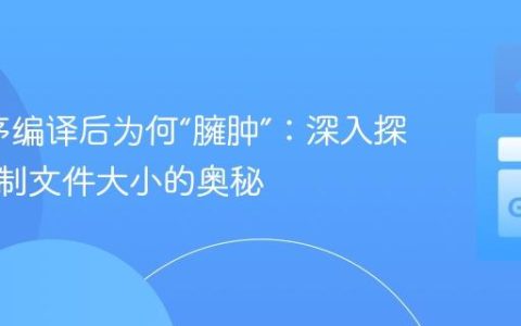 Go程序编译后为何“臃肿”：深入探究二进制文件大小的奥秘