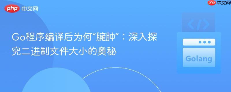Go程序编译后为何“臃肿”:深入探究二进制文件大小的奥秘