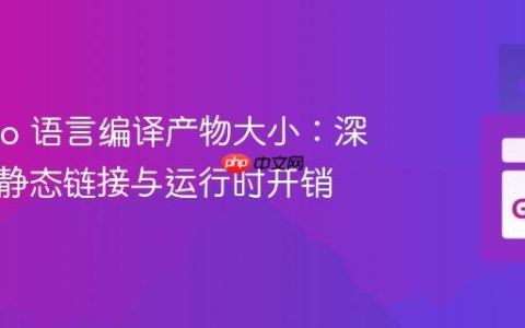 解析 Go 语言编译产物大小：深入探讨静态链接与运行时开销