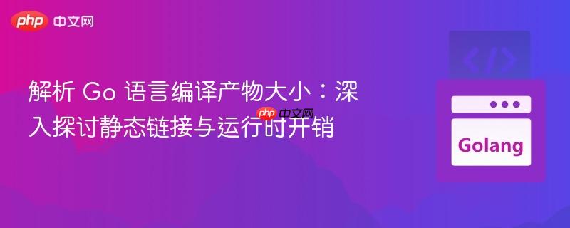 解析 Go 语言编译产物大小:深入探讨静态链接与运行时开销