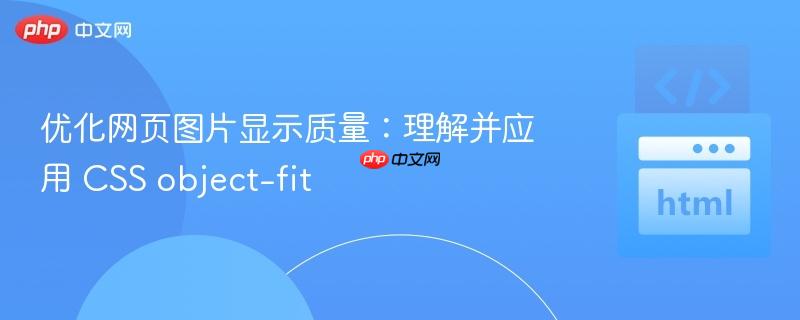 优化网页图片显示质量：理解并应用 CSS object-fit