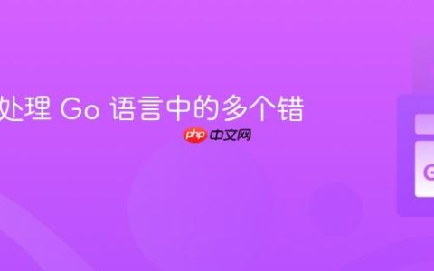 优雅地处理 Go 语言中的多个错误