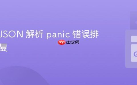 Go 中 JSON 解析 panic 错误排查与修复