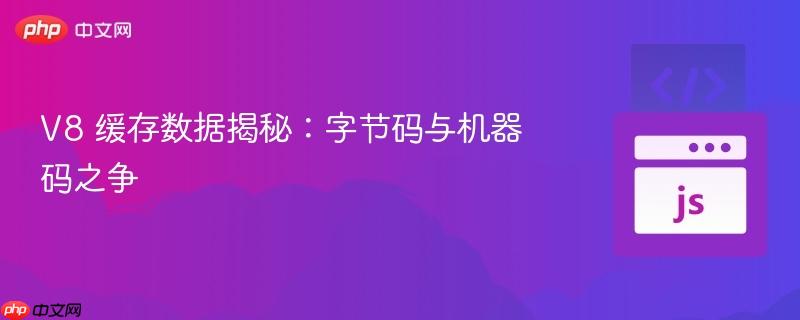 v8 缓存数据揭秘:字节码与机器码之争