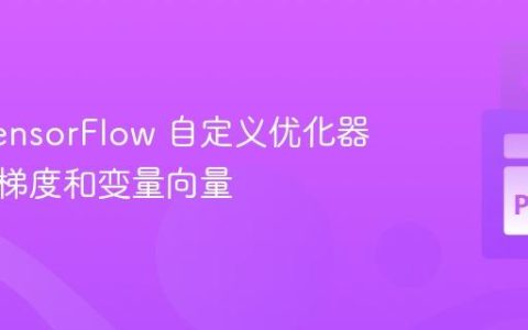 创建 TensorFlow 自定义优化器：获取梯度和变量向量