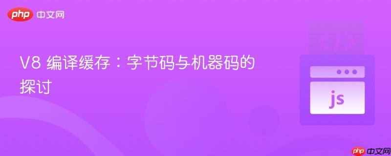 v8 编译缓存:字节码与机器码的探讨