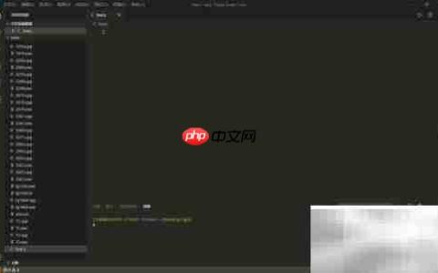 C语言判断数字100方法