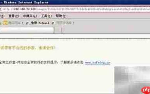 网站安全狗V2.4主动防护
