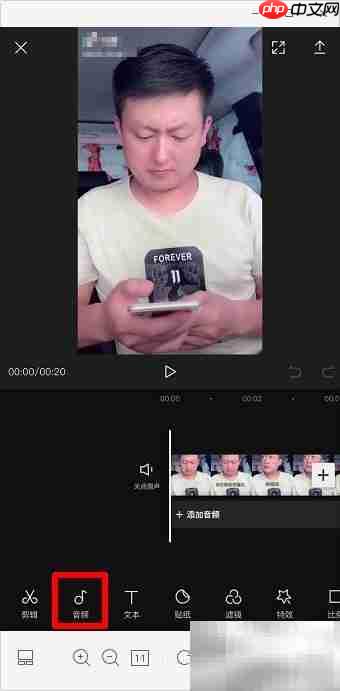 视频添加心跳声效软件推荐