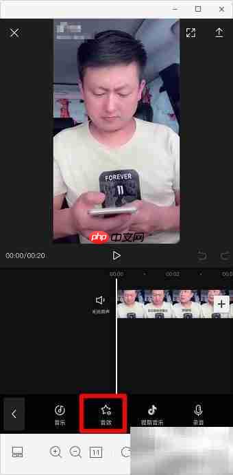 视频添加心跳声效软件推荐
