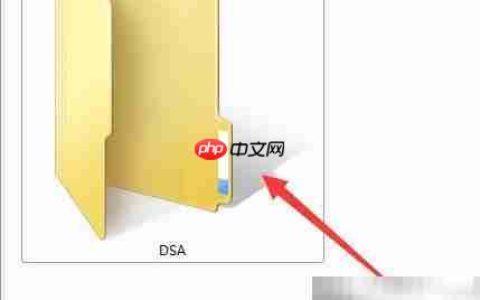 DSA电子眼升级预警系统