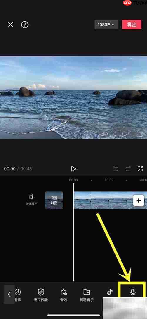 视频配音技巧:轻松添加录音