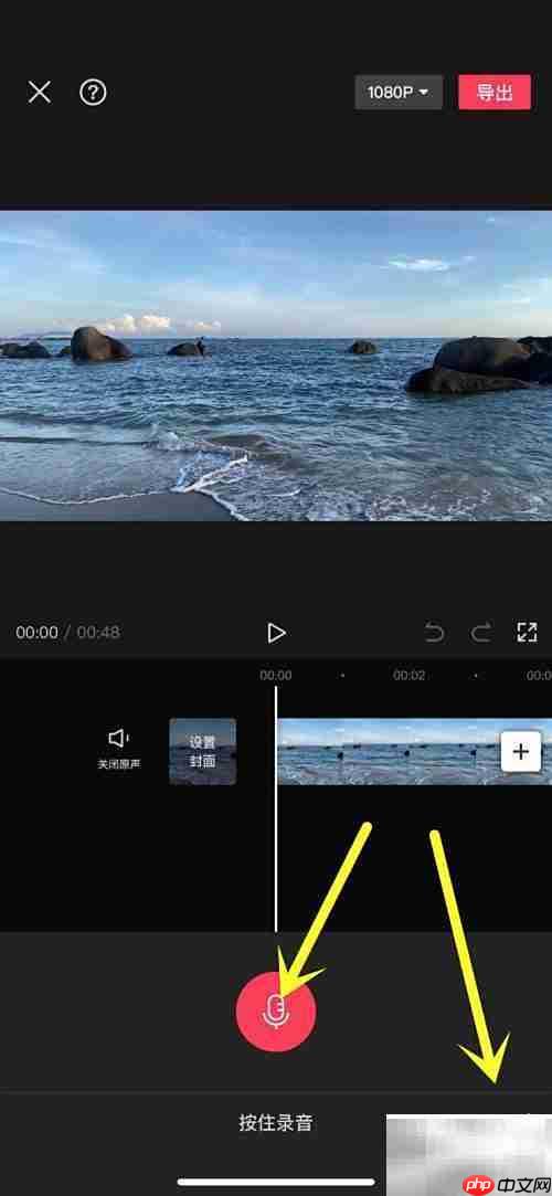 视频配音技巧:轻松添加录音