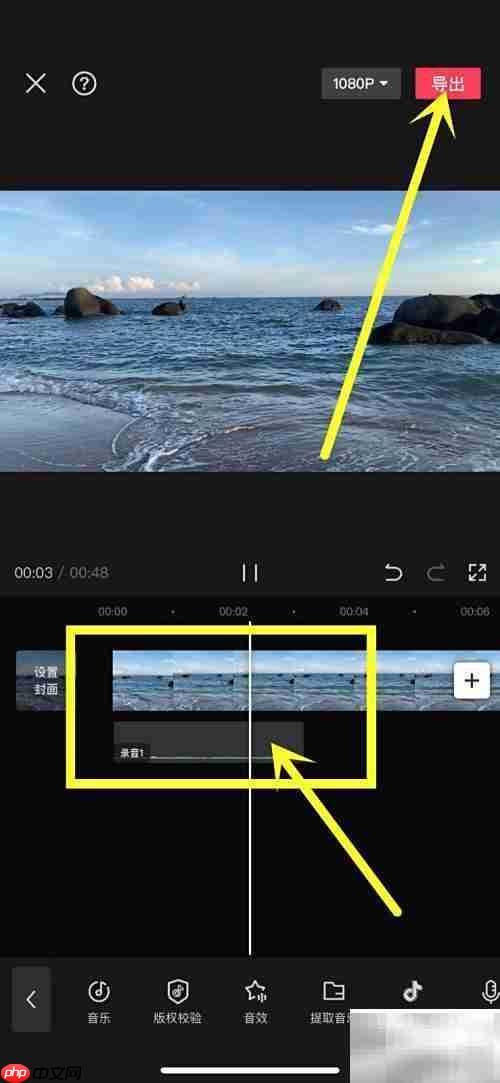 视频配音技巧:轻松添加录音