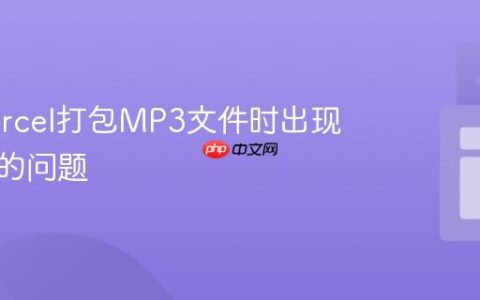 解决Parcel打包MP3文件时出现空对象的问题