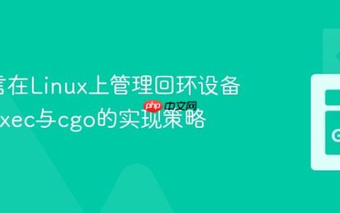 Go语言在Linux上管理回环设备：os/exec与cgo的实现策略