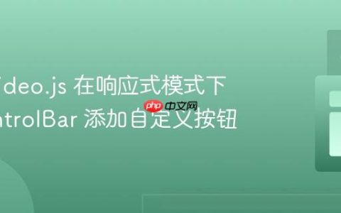 使用 Video.js 在响应式模式下向 ControlBar 添加自定义按钮