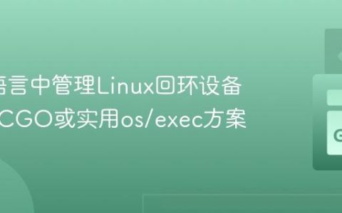 在Go语言中管理Linux回环设备：深入CGO或实用os/exec方案