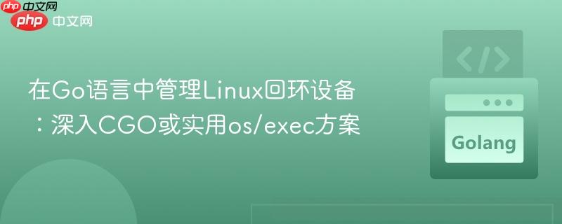 在Go语言中管理Linux回环设备:深入CGO或实用os/exec方案