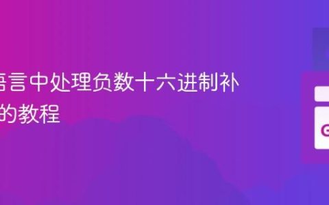 在Go语言中处理负数十六进制补码表示的教程