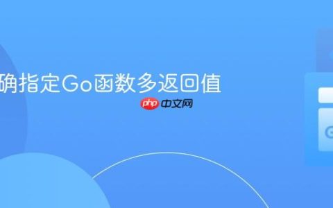 如何明确指定Go函数多返回值类型