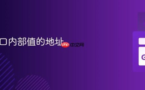 获取接口内部值的地址