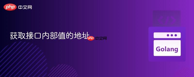 获取接口内部值的地址