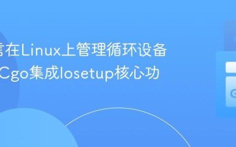 Go语言在Linux上管理循环设备：利用Cgo集成losetup核心功能