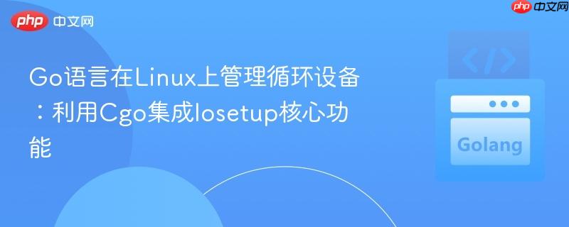 Go语言在Linux上管理循环设备:利用Cgo集成losetup核心功能