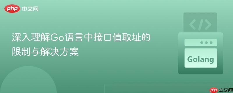 深入理解Go语言中接口值取址的限制与解决方案