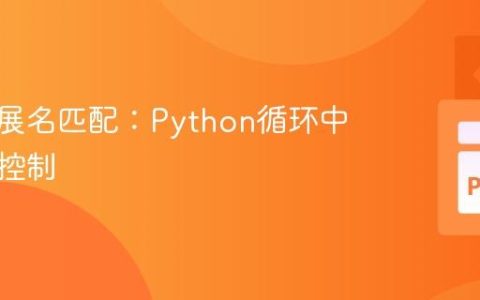 文件扩展名匹配：Python循环中的精确控制