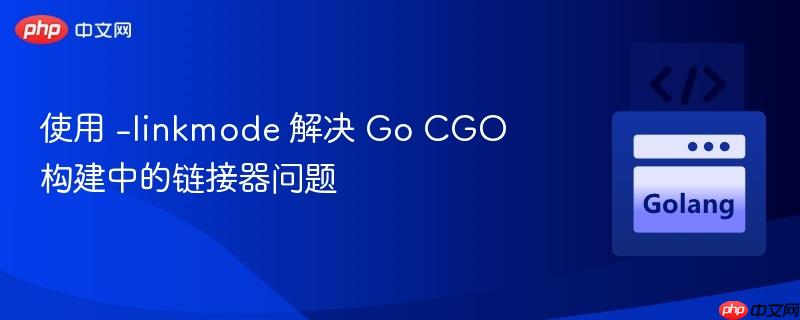 使用 -linkmode 解决 go cgo 构建中的链接器问题