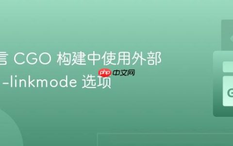 Go 语言 CGO 构建中使用外部链接器 -linkmode 选项