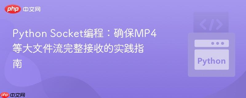 Python Socket编程:确保MP4等大文件流完整接收的实践指南