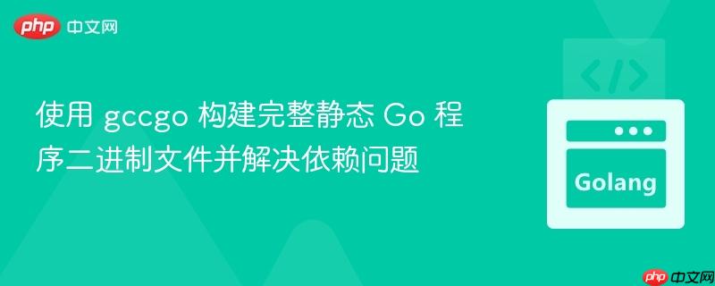 使用 gccgo 构建完整静态 go 程序二进制文件并解决依赖问题