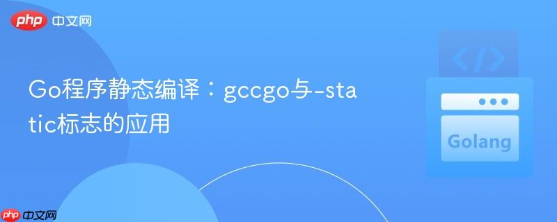go程序静态编译:gccgo与-static标志的应用