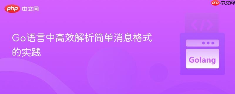 Go语言中高效解析简单消息格式的实践